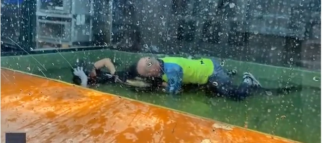 Çocukların gözü önünde korkunç timsah saldırısı!